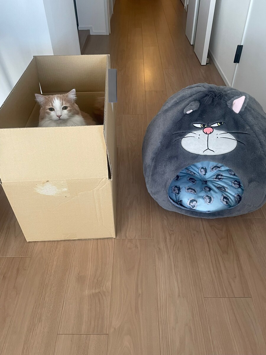 푹신푹신 고양이용 쿠션.jpg_1.jpg