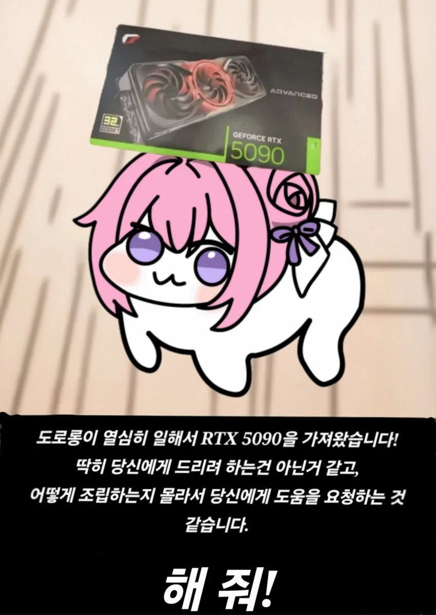 도로롱이 그래픽카드를 가져왔습니다_1.webp
