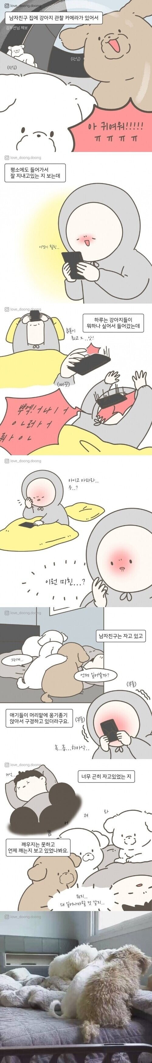 주인 잘때 멍멍이들 하는 짓._1.jpg