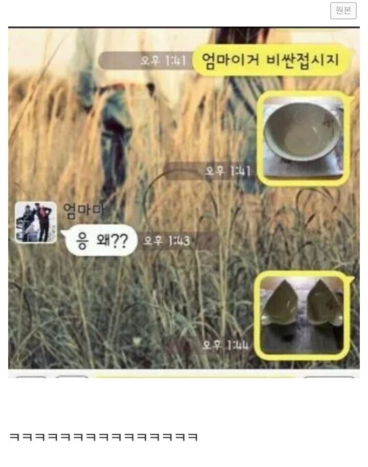 엄마 이거 비싼접시지?_1.jpg
