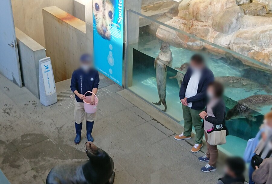 물개 공연 지켜보는 관객들.jpg_1.jpg