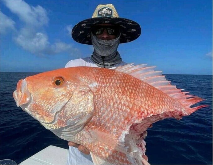 한입충이 극혐인 이유 1장 요약_1.jpg