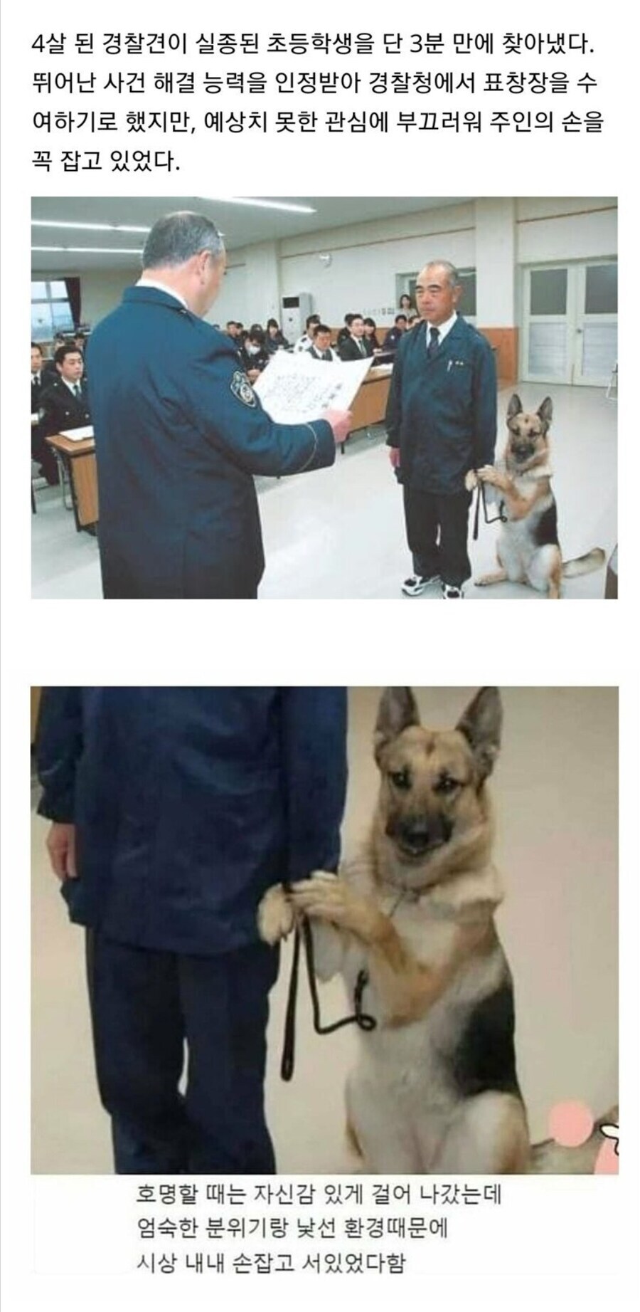 실종 초등생을 3분만에 찾아 표창장 받는 경찰견_1.jpg