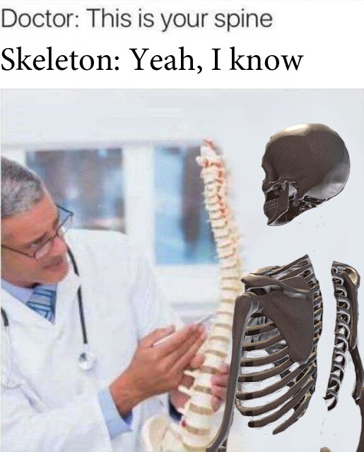 이것이 당신의 척추 입니다._1.png