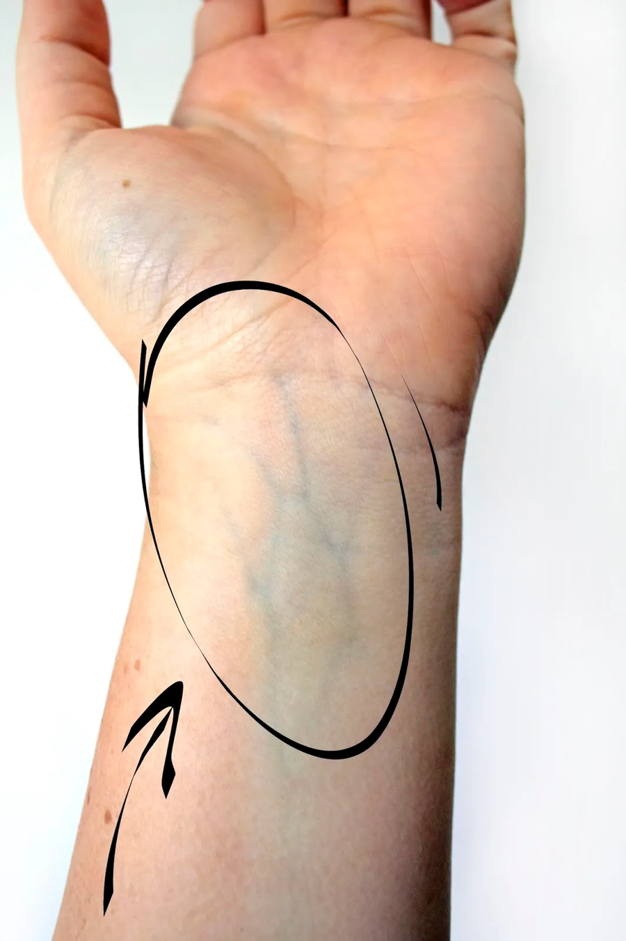 옛날 귀족들이 말하던 푸른 피의 의미_1.webp