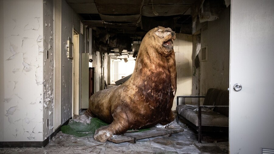 폐허의 기괴한 장식물들️_1.jpg