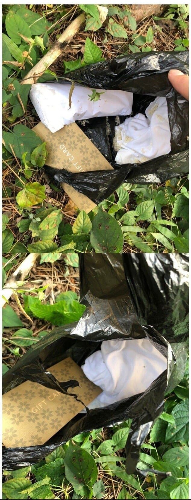 공포) 꽁돈 얻은 디씨인_1.jpg