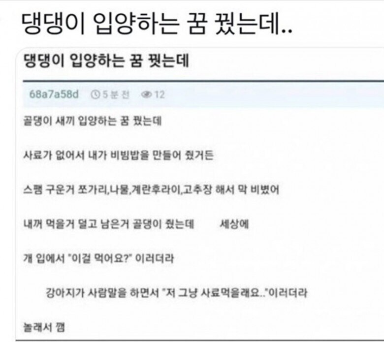 댕댕이 입양하는 꿈.jpg_1.jpg