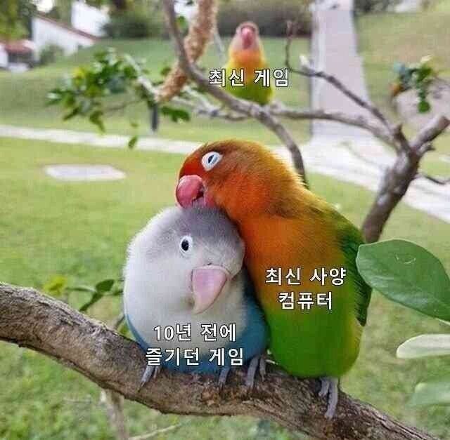 최신형 컴퓨터를 맞추면 해야할 일_1.jpg