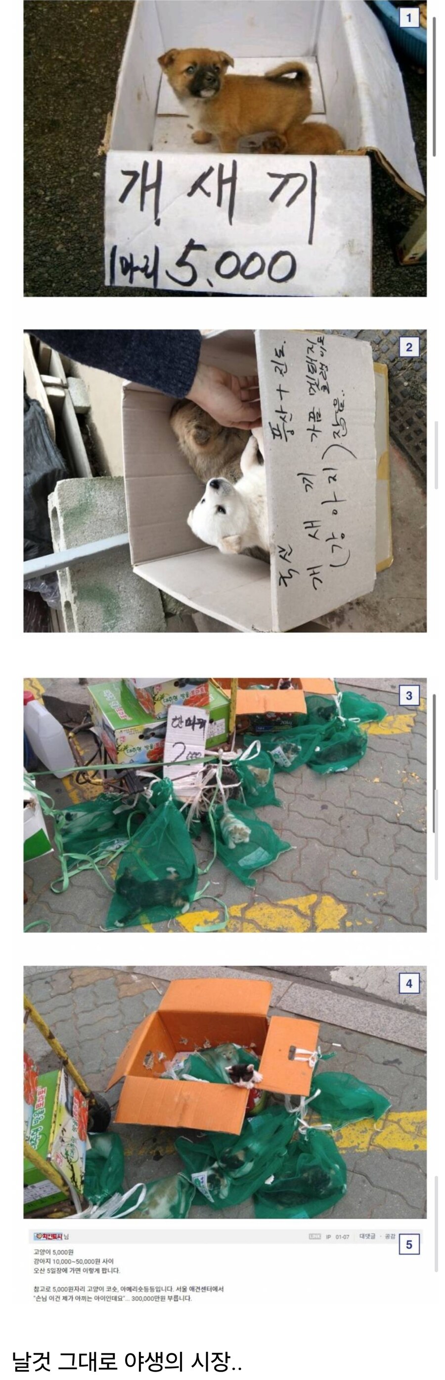 한국이 정말 많이 성장한 인식_1.jpg