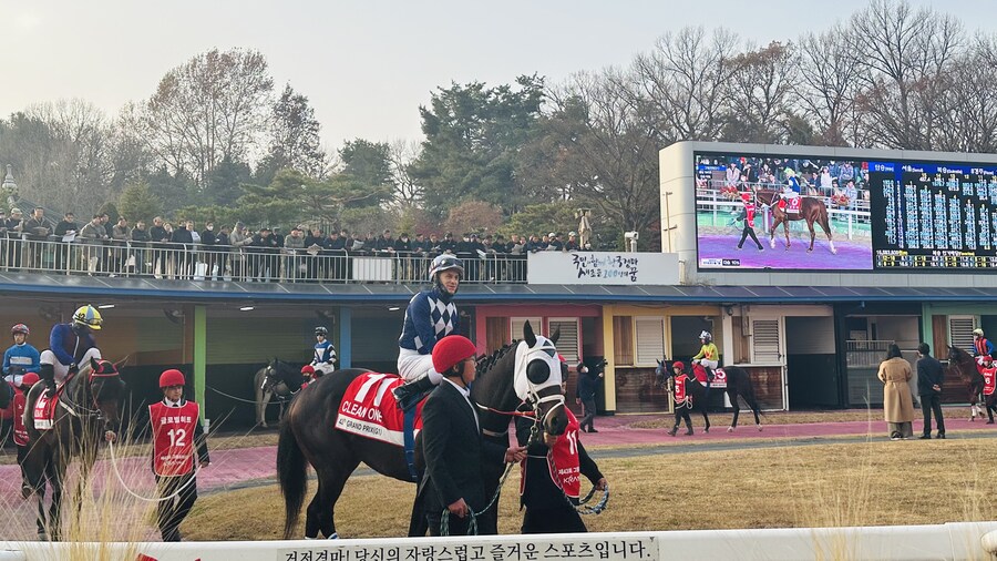 경마)그랑프리 우승은 일본마 제치고 3세 클린원!_1.jpg
