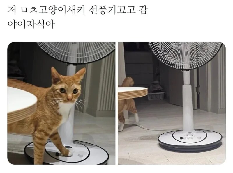 주인이 싫어하는 건 귀신같이 캐치함_1.png
