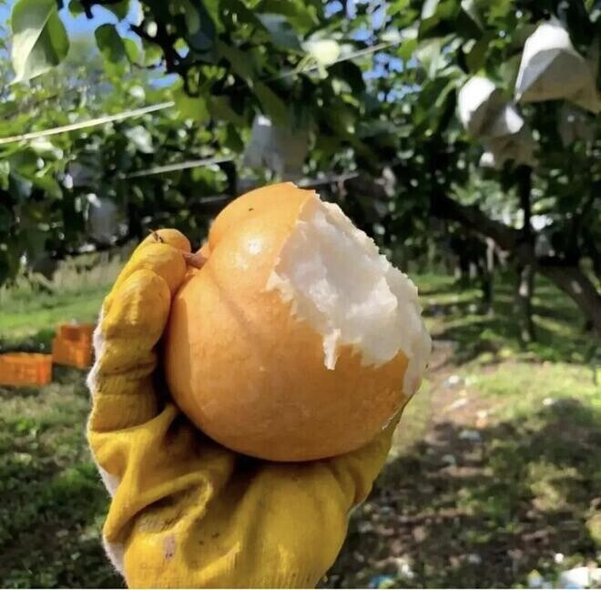 배드신 후 속살 노출_1.jpg