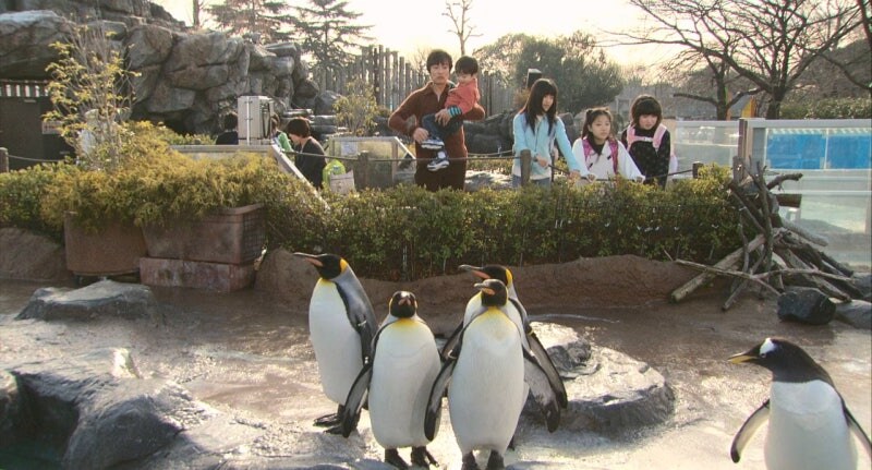 남극의 쉐프 마지막 장면은 여운을 남긴다_1.jpg