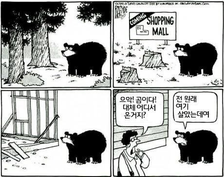 조선시대 한양도성 안에 호랑이가 자주 출몰한 이유_2.jpg