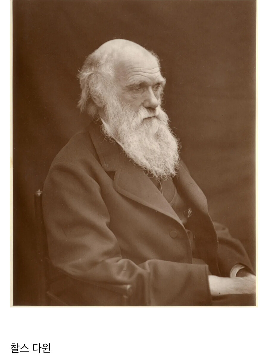 의외로 세계 역사에 엄청난 나비효과를 일으킨 인물.jpg_1.jpg