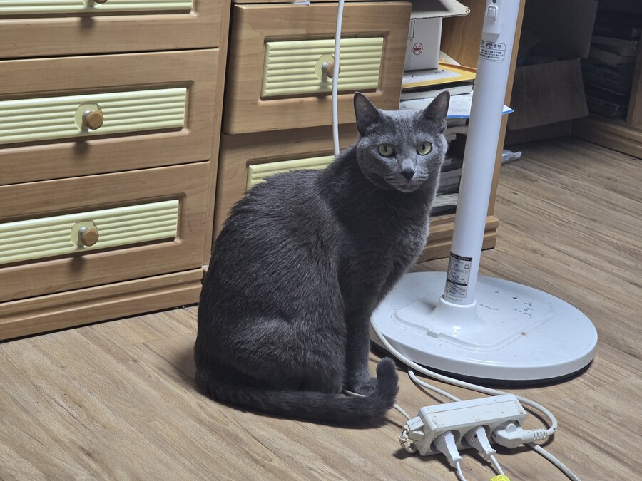 진짜 완벽하게 찍혔다_1.jpg