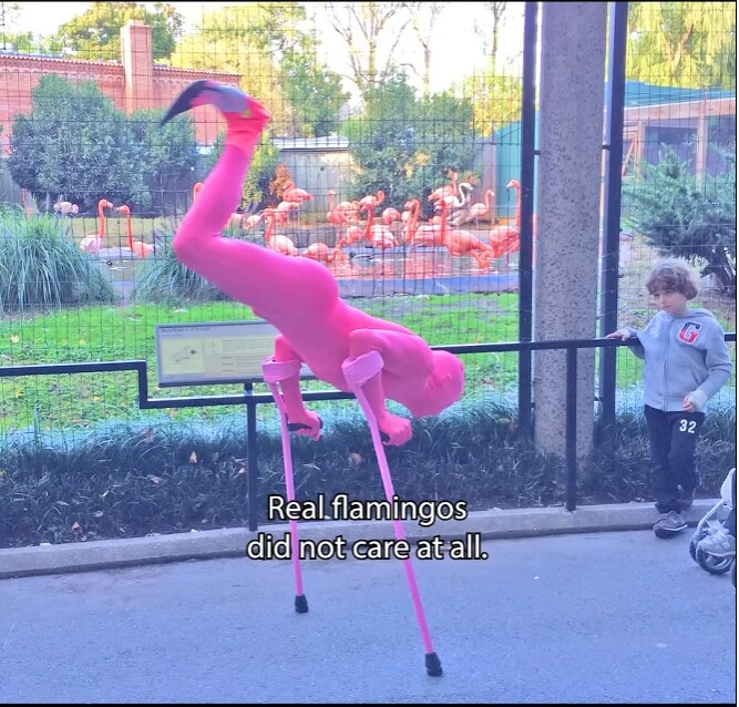 플라밍고를 좋아하는 조카를 위해 코스프레를 한 삼촌_1.png
