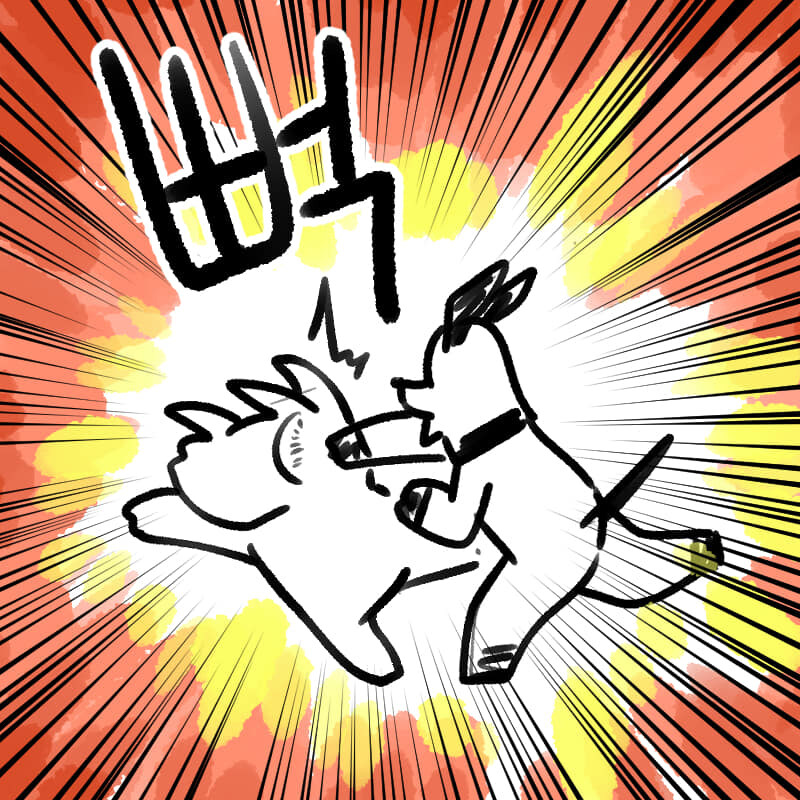 오타쿠 아내에게 원피스 좋아하는 캐릭 물어보기_4.jpg