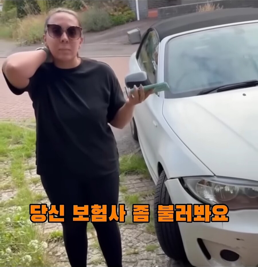 해외 주차 빌런.jpg_2.jpg