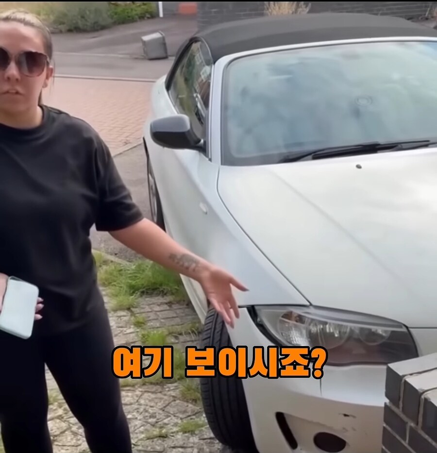 해외 주차 빌런.jpg_4.jpg