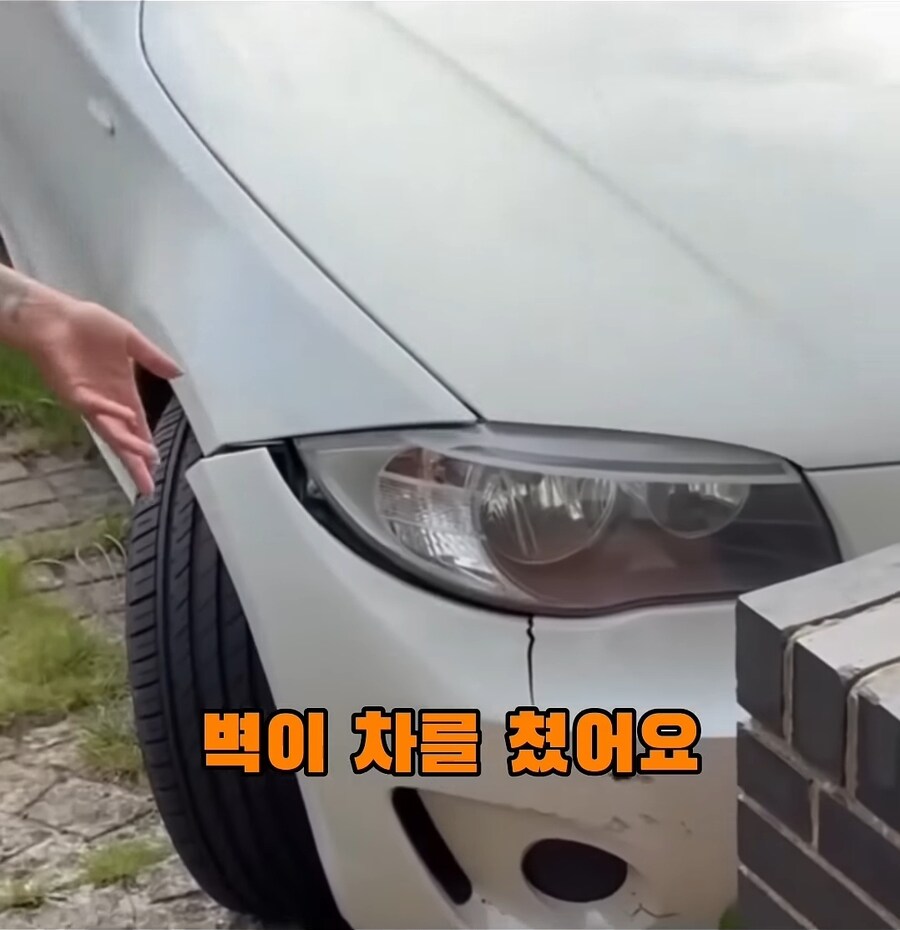 해외 주차 빌런.jpg_5.jpg