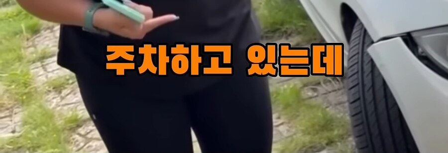 해외 주차 빌런.jpg_7.jpg