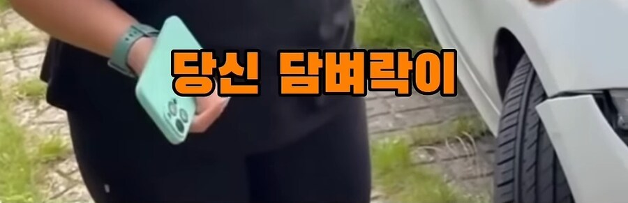 해외 주차 빌런.jpg_8.jpg