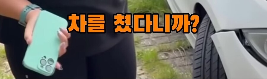 해외 주차 빌런.jpg_9.jpg