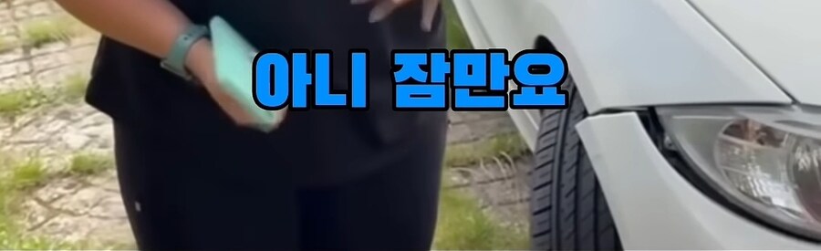 해외 주차 빌런.jpg_10.jpg