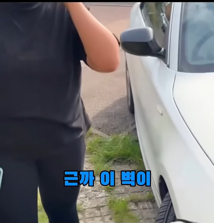 해외 주차 빌런.jpg_11.jpg