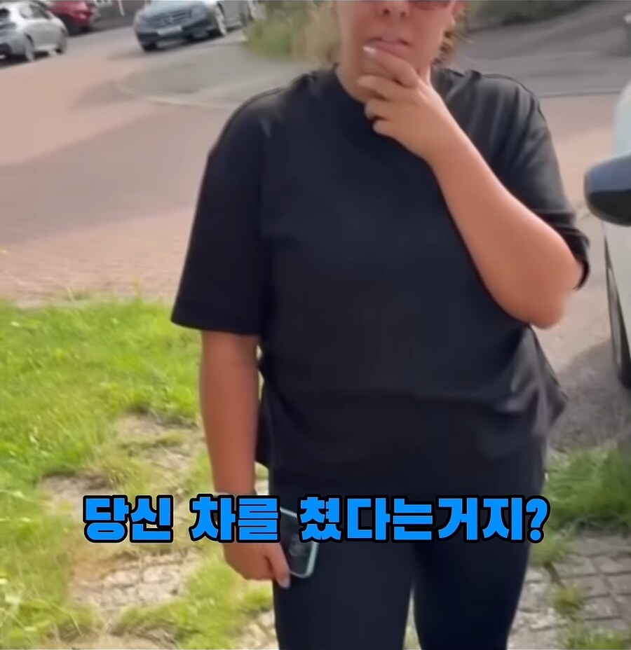 해외 주차 빌런.jpg_12.jpg