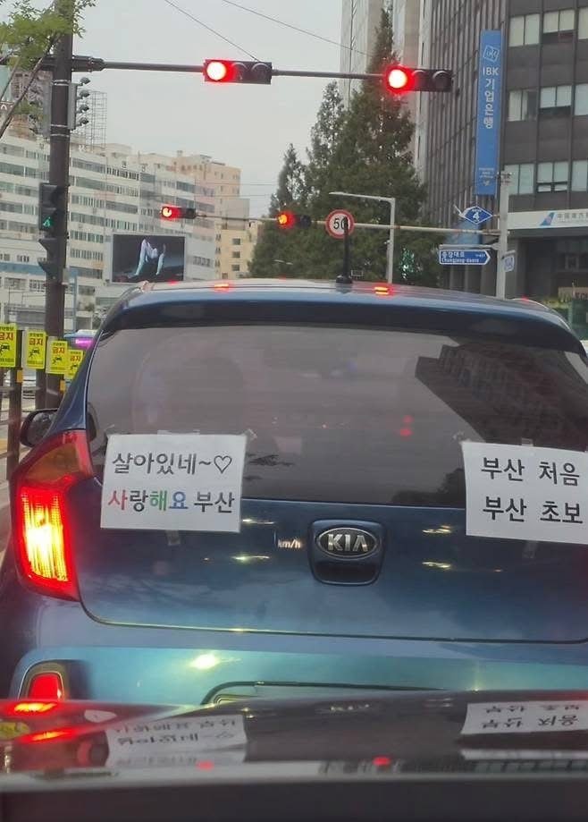 부산에 처음 간 운전자