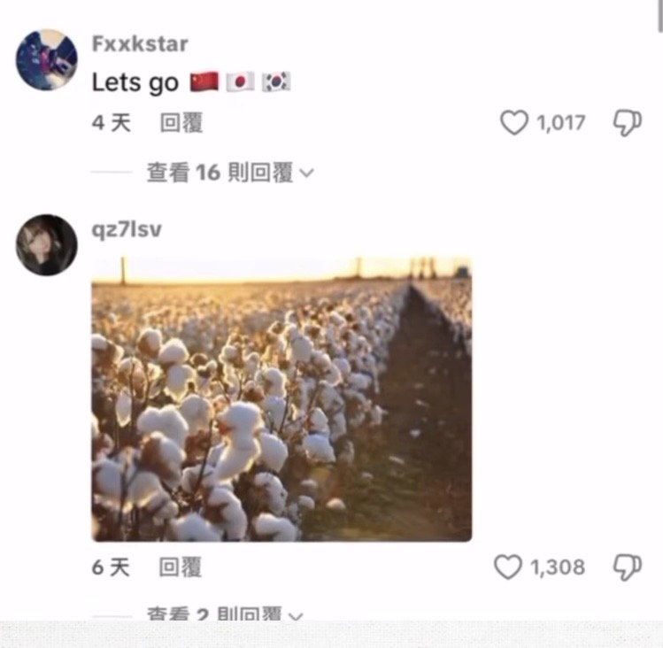 인종차별하는 흑인에 한마음으로 받아치는 한중일ㄷㄷ