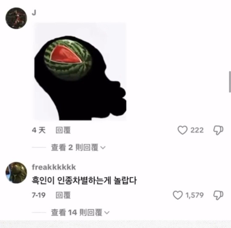 인종차별하는 흑인에 한마음으로 받아치는 한중일ㄷㄷ