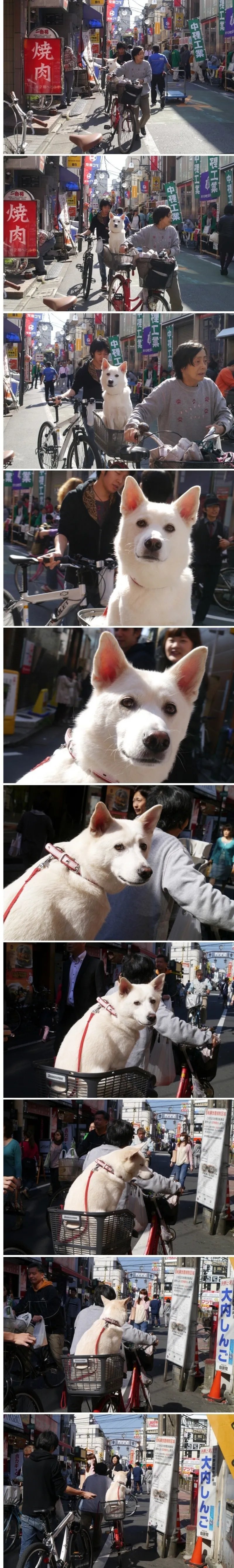 7930015396_486616_07568b709b15ab6c32858c3d240f8ffb.jpg 십여 년 만에 우연히 만난 첫사랑. jpg