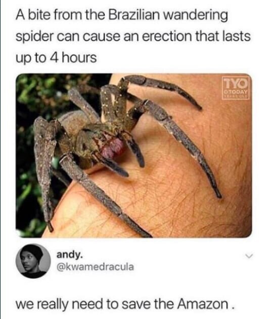 아마존을 보존해야 하는 이유.jpg_1.jpg