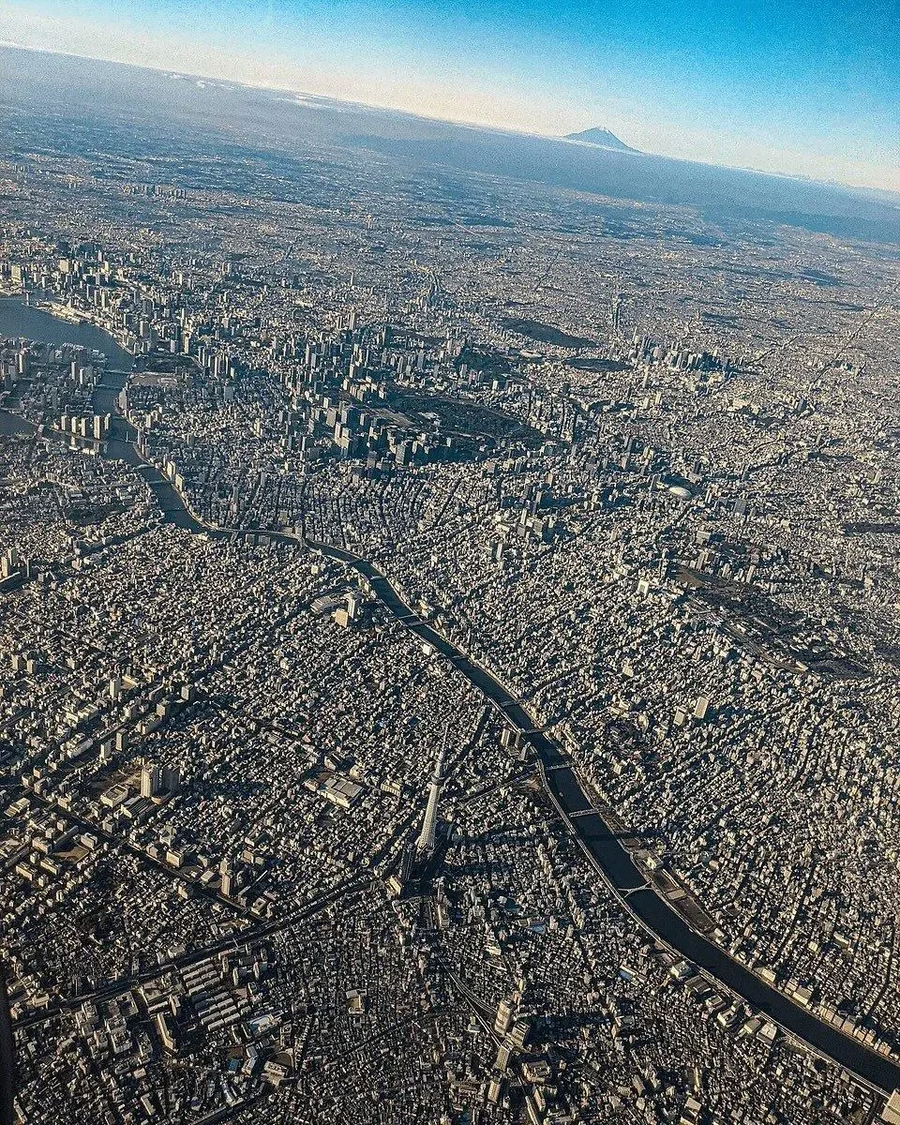 자연이 있어야 숨통이 트이는 이유 .JPG_1.webp