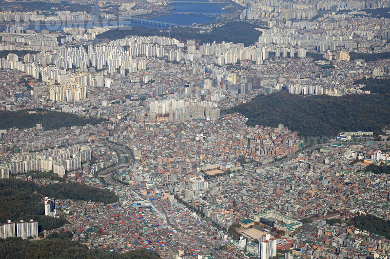 자연이 있어야 숨통이 트이는 이유 .JPG_2.jpg