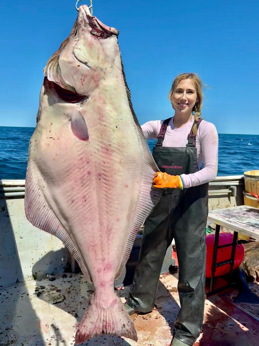 알래스카에서 잡힌다는 초대형 광어_5.jpg