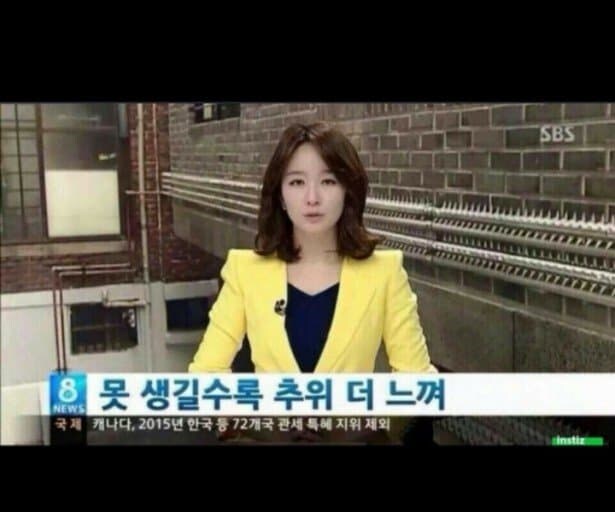 근데 겨울 언제 옴?_1.jpg