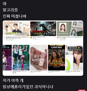 한국문화에 심취한 미국인 여자애의 유튜브 알고리즘을 망쳐봤다._5.png