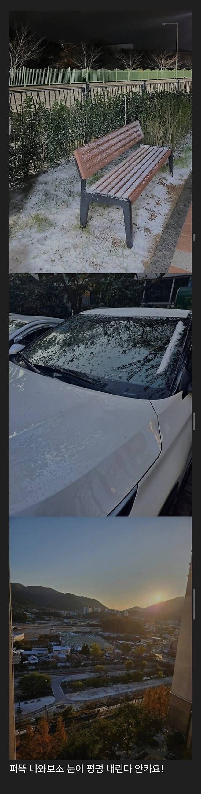 폭설로 난리난 부산_1.jpg