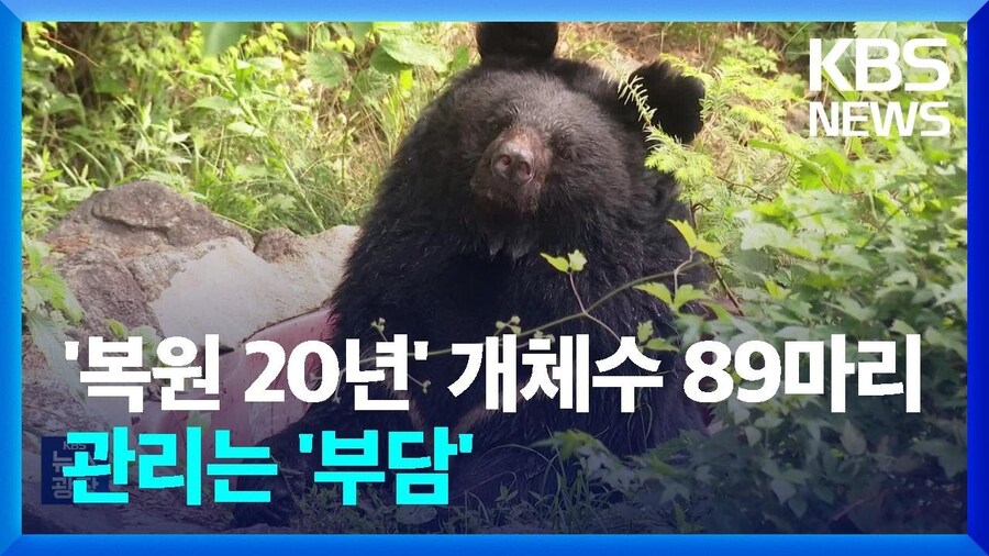 지금쯤 무슨 생각하고 있을지 궁금한 사람들_2.jpg