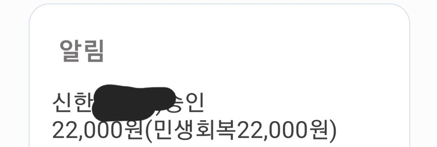 으아니 진짜 내 민생지원금이 사라졌잖아_5.jpg