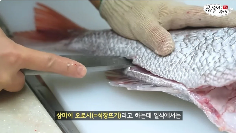 단골 횟집에서 참돔 2Kg을 사왔는데 258g을 받은 사람_9.webp