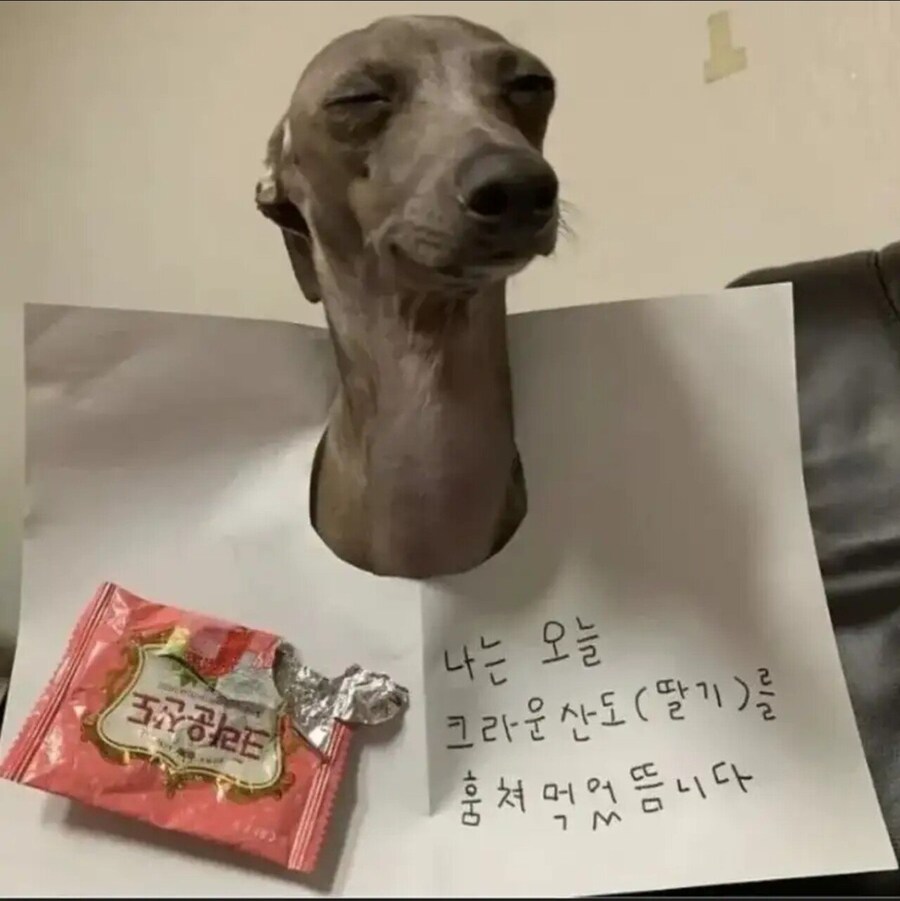 나의 행동에 후회란없다_1.jpg