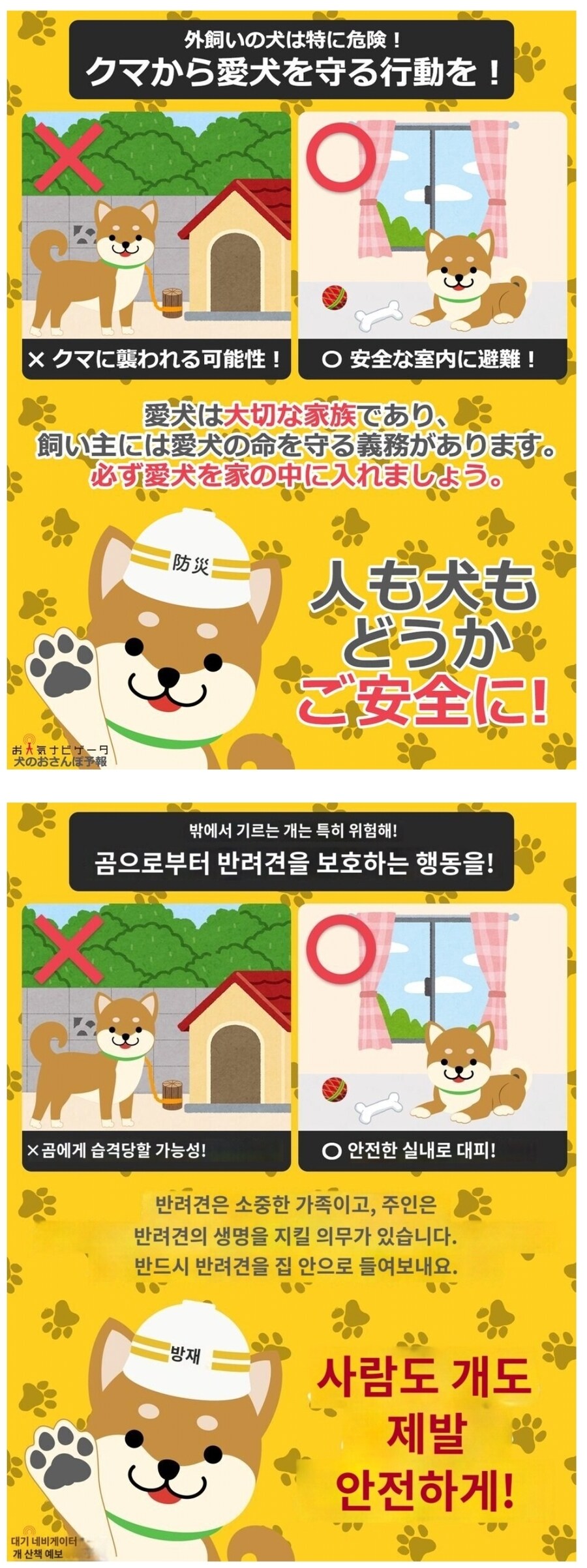 ??? : 개는 제발 집안에서 키우세요._1.jpg