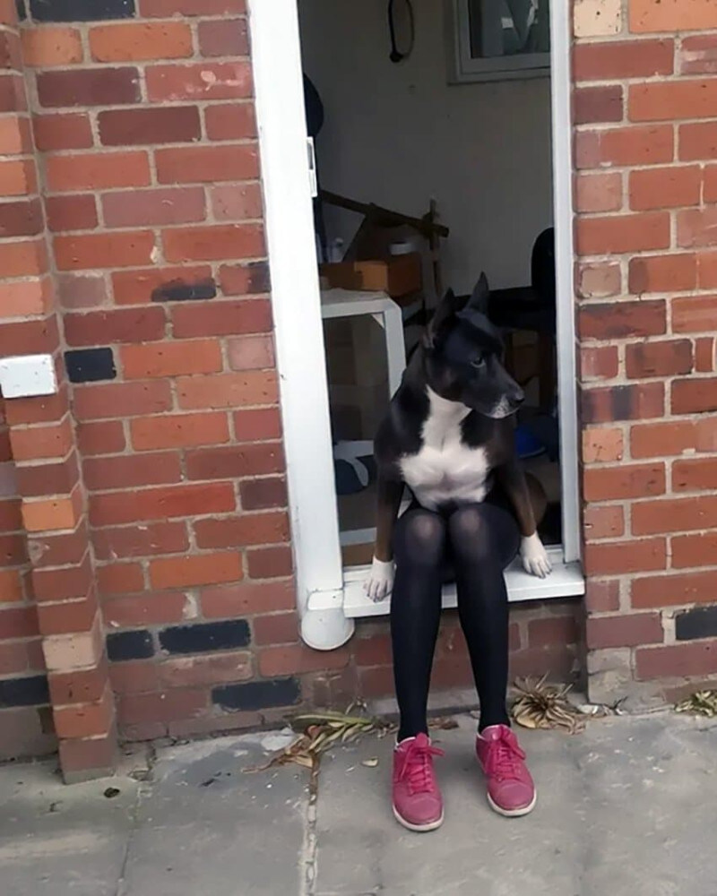 AI야 사진 정면 각도로 보여줘_2.jpg