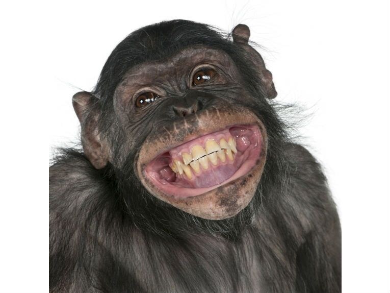 가디언 테일즈가 남긴 것_13.jpg